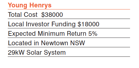 Young Henrys summary